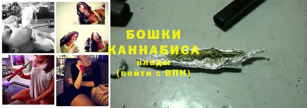 молекула духа Лабытнанги