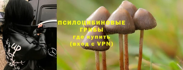 jwh Лиски
