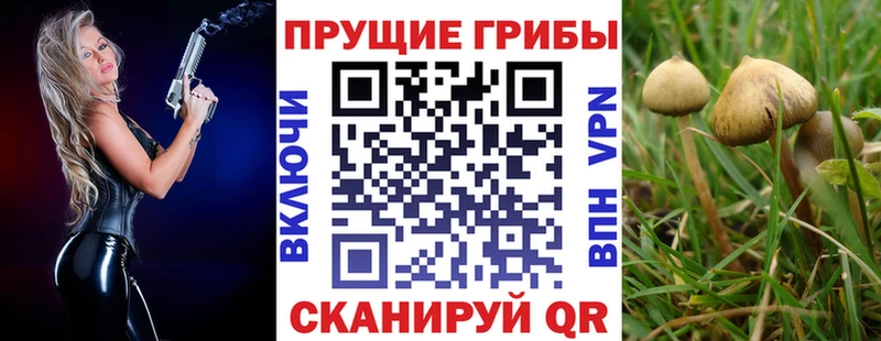 Галлюциногенные грибы мухоморы  Льгов 